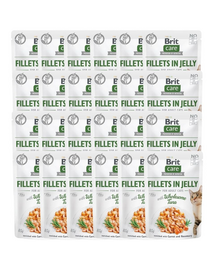 Care Fillets in Jelly tuńczyk saszetki dla kota 24 x 85 g