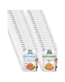 BRIT Care Cat Fillets in Jelly Mix 48x85 g hrană umedă pisici, curcan cu creveți și ton