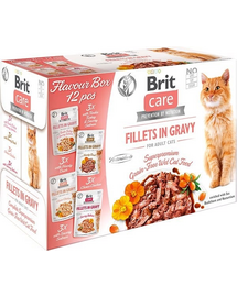 BRIT Care Cat Fillets in Gravy 24 x 85 g pachet mixt hrană umedă pisici, fileuri în sos