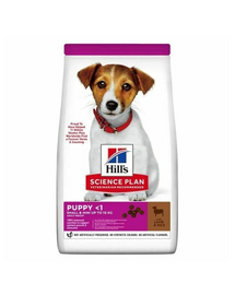 HILL'S Science Plan Puppy Small Mini Lamb and Rice 6 kg z jagnięciną i ryżem, sucha karma dla szczeniąt małych ras
