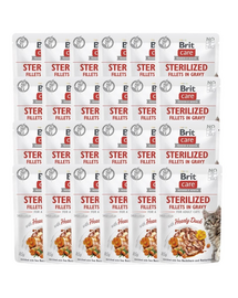 CARE Fillets in Gravy Pouch Sterilized Hearty Duck 24x85g z kaczką dla kotów sterylizowanych