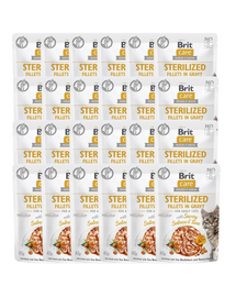 CARE Fillets in Gravy Pouch Sterilized Savory Salmon&Tuna 24x85g z łososiem i tuńczykiem dla kotów sterylizowanych