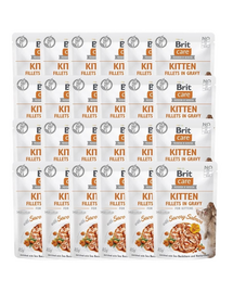 CARE Fillets in Gravy Pouch Kitten Savory Salmon 24x85g z łososiem dla kociąt