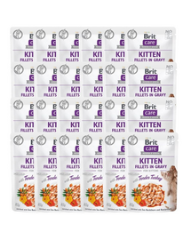 Care Fillets in gravy with tender turkey 24 x 85 g indyk w sosie