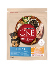 PURINA ONE Junior Mini/Small cu pui și orez 800 g hrană căței talie mică