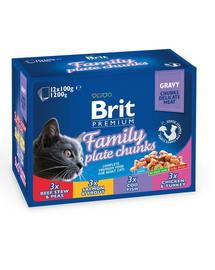 Premium Cat Zestaw Saszetek Family Plate 12x100g