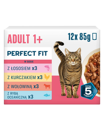 PERFECT FIT Adult 1+ Mix de arome 12 x 85 g hrană umedă pentru pisici adulte