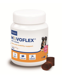 Movoflex L 30 szt.