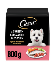 CESAR Adult hrană uscată câini de talie mică, cu pui și somon, 800 g