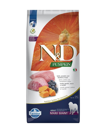 N&D Pumpkin Dog Adult Giant Maxi lamb & bluberry 12 kg jagnięcina i borówki
