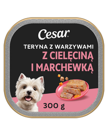 CESAR Teryna z Warzywami 300 g z mokra karma dla psa z cielęciną i marchewką