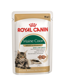 Royal Canin Maine Coon Adult hrana umeda pisica, 12 x 85 g