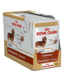 ROYAL CANIN Dachshund Adult 12x85 g