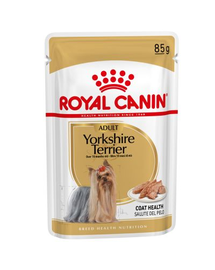 Royal Canin Yorkshire Terrier Adult hrana umeda caine, 12 x 85 g