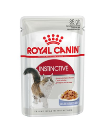 Royal Canin Instinctive In Jelly Adult hrana umeda in aspic pentru pisica, 12 x 85 g