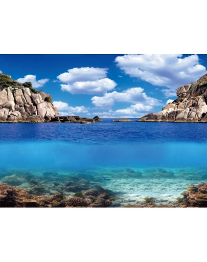 AQUA NOVA Fundal acvariu fata-verso, marime S, 60x30cm, plante/ ocean