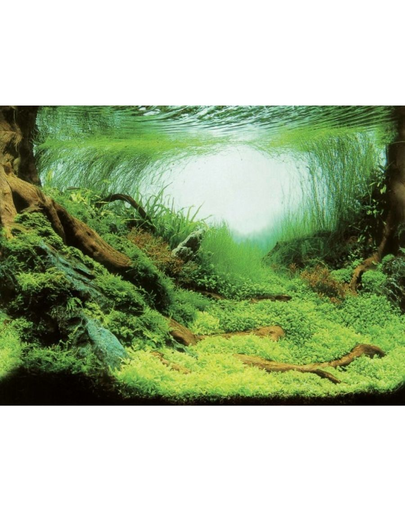 AQUA NOVA Fundal acvariu fata-verso, marime S, 60x30cm, plante/ ocean