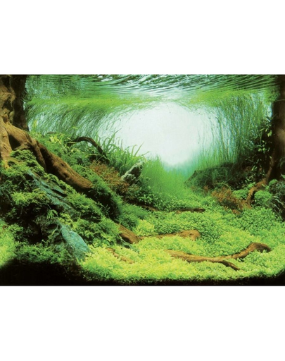 AQUA NOVA Fundal acvariu fata-verso, marime L, 100x50cm, plante/ ocean