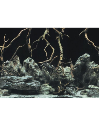 AQUA NOVA Fundal acvariu fata-verso, marime S, 60x30cm, radacini / apa