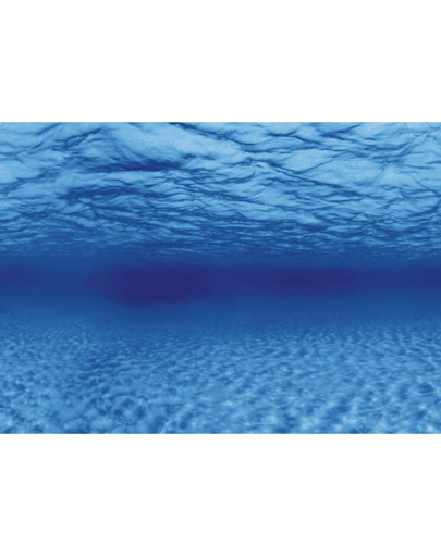AQUA NOVA Fundal acvariu fata-verso, marime S, 60x30cm, radacini / apa