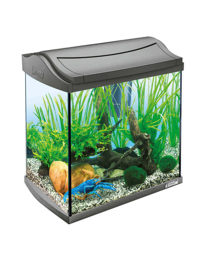 TETRA AquaArt Discover Line Acvariu din sticla de inalta calitate, 30 l