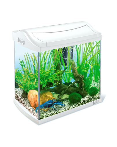 TETRA AquaArt Discover Line Aquarium Set pentru creveți și crabi