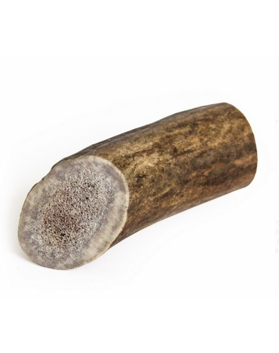 RECOSNACK Antler dog chew Recompensa caini, din corn de cerb XL