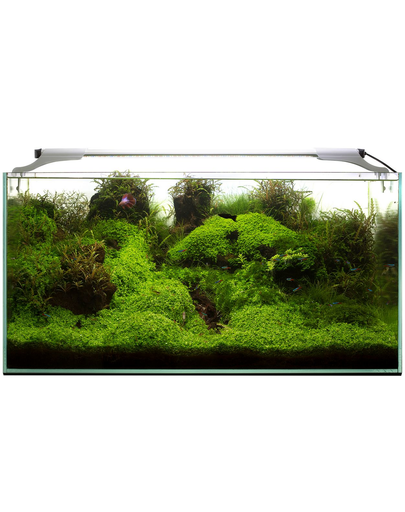 AQUAEL Lampa led pentru acvariu Leddy Slim 32W Plant 2.0, alb