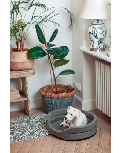 FERA Pat oval pentru caini, gri S 53 x 44 x 16 cm