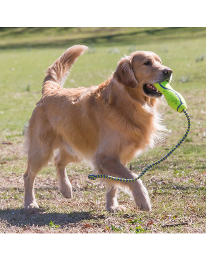 KONG Airdog Fetch Stick cu franghie M jucarie pentru aport plutitoare