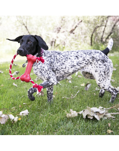 KONG Goodie Bone with Rope M jucarie pentru caini