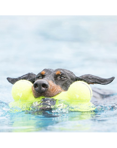 KONG Airdog Squeaker Bone S jucarie dentitie pentru caini