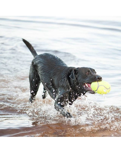 KONG Airdog S Squeaker Football minge pentru caini