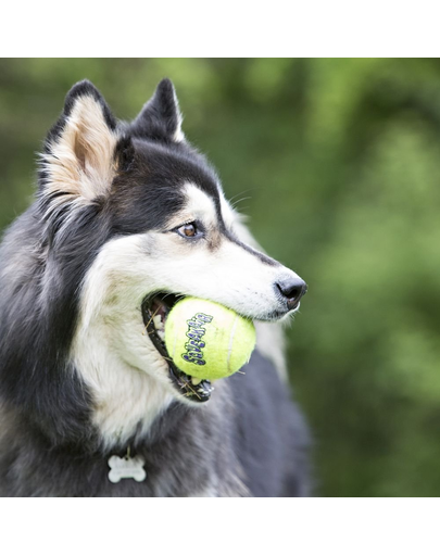 KONG SqueakAir Ball XL minge tenis pentru caini