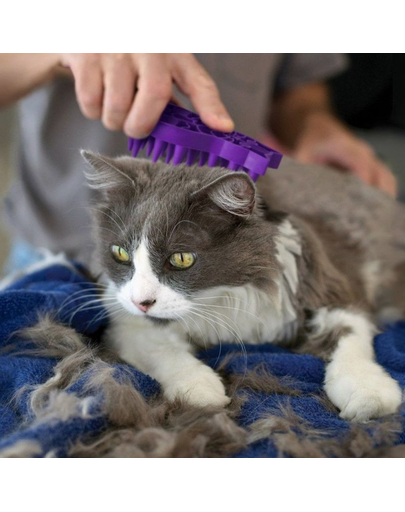 KONG Perie Cat ZoomGroom pentru masajul si periajul pisicii