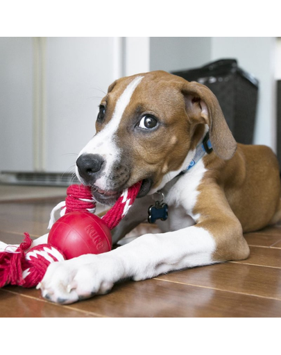 KONG Ball with Rope S minge pentru caini