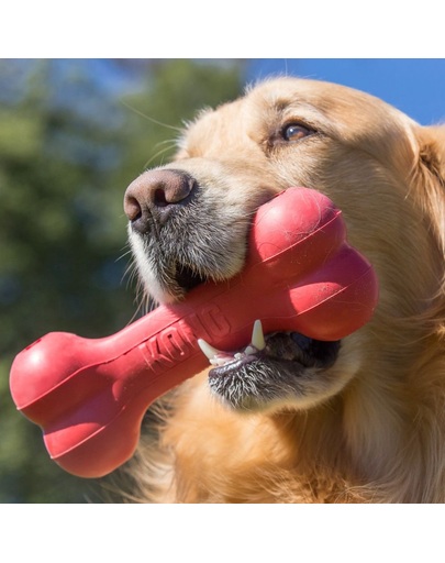 KONG Goodie Bone small 135 mm