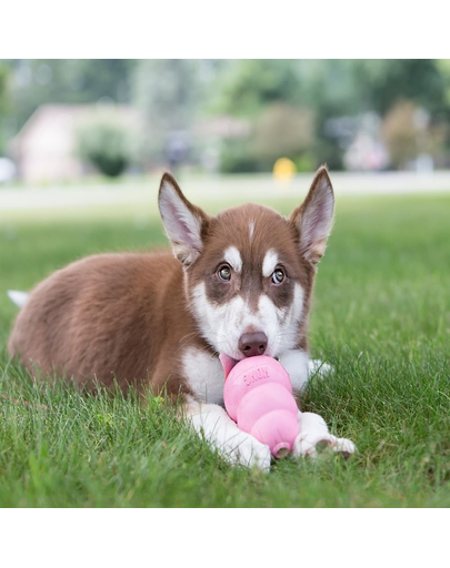 KONG Puppy L jucarie pentru recompense pentru catelusi