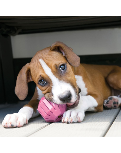 KONG Puppy Activity Ball M jucarie dentitie pentru catelusi