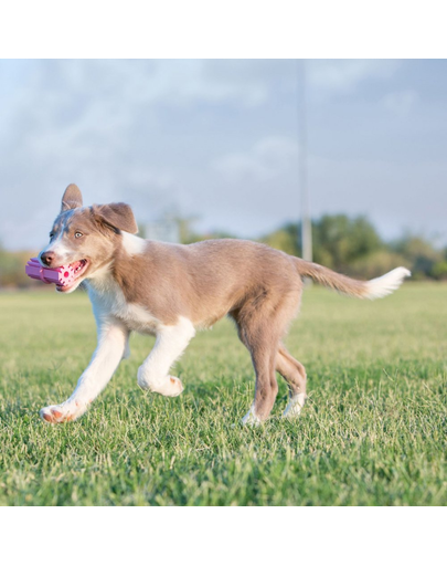 KONG Puppy Teething Stick M jucarie dentara pentru catelusi