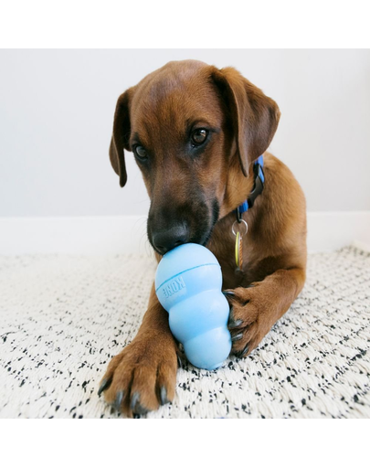 KONG Puppy M jucarie pentru dentitie pentru catelusi