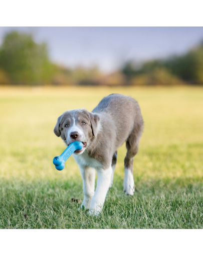 KONG Puppy Goodie Bone S jucarie dentara catelusi pentru recompense