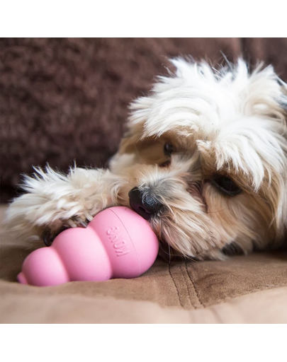 KONG Puppy S jucarie pentru recompense pentru catelusi