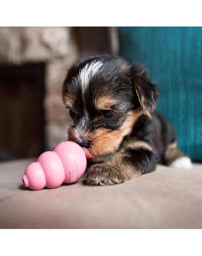 KONG Puppy XS jucarie dentitie pentru recompense pentru catelusi