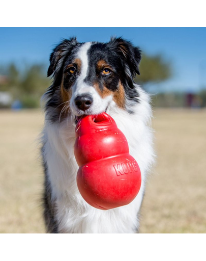 KONG Bounzer XL jucarie de aport pentru caini rosu