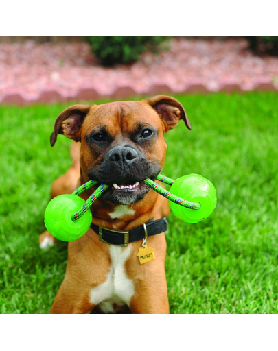 KONG Squeezz Ball with Rope L minge pentru caini cu maner