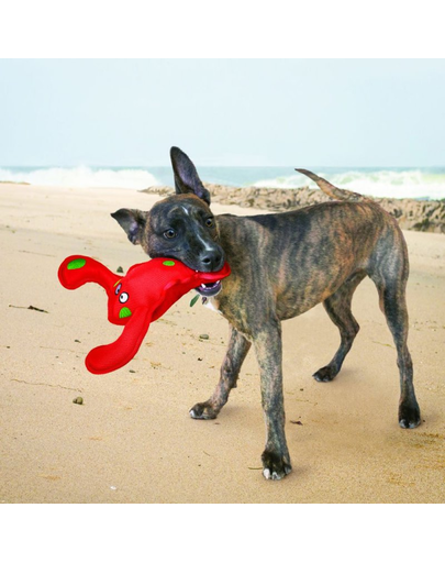 KONG Belly Flops Lobster M jucarie pentru caini