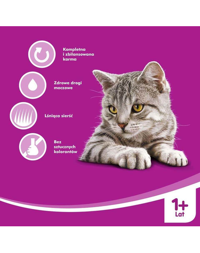 WHISKAS Supă cremoasă cu pui 28 x 85 g