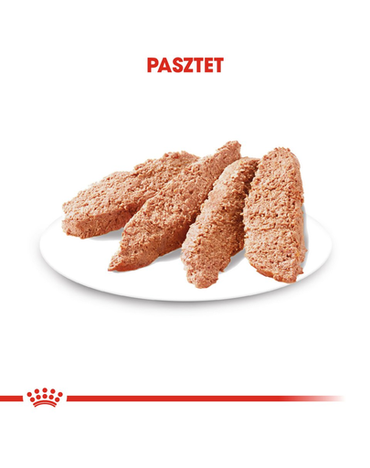 ROYAL CANIN Coat Care- Hrana umeda pentru blana, pentru câinii adulți, 12 plicuri x 85 g