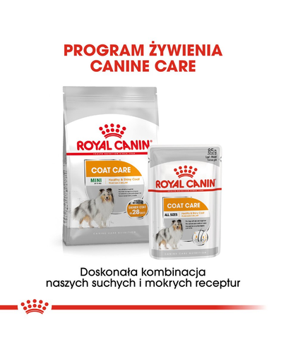 ROYAL CANIN Coat Care- Hrana umeda pentru blana, pentru câinii adulți, 12 plicuri x 85 g